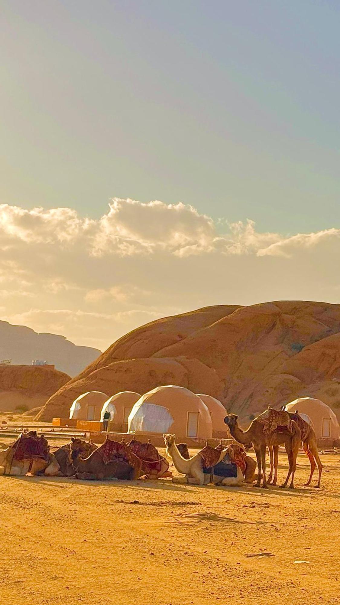 Wadi Rum Anwar Luxury Camp 外观 照片