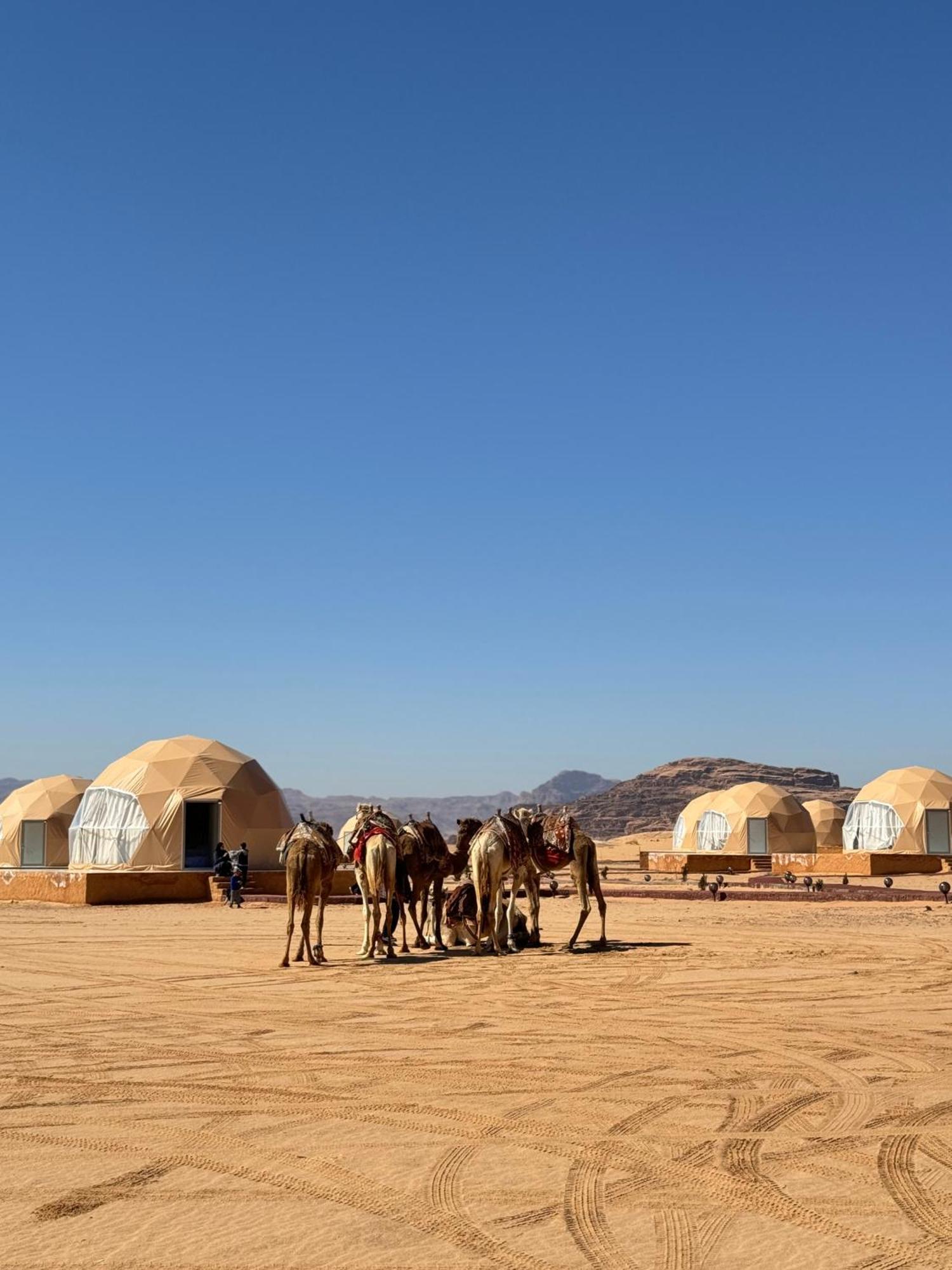 Wadi Rum Anwar Luxury Camp 外观 照片